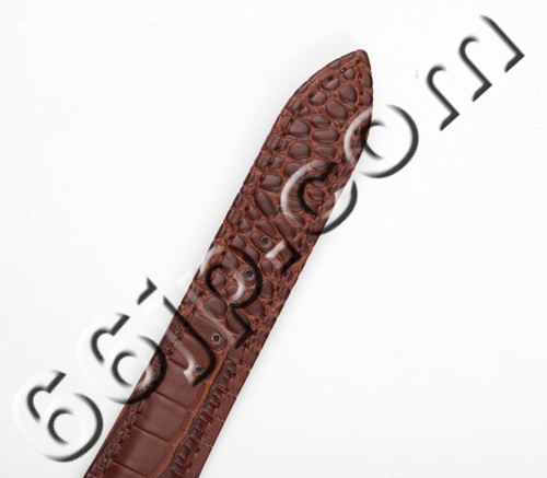 オメガ時計素材ディテール